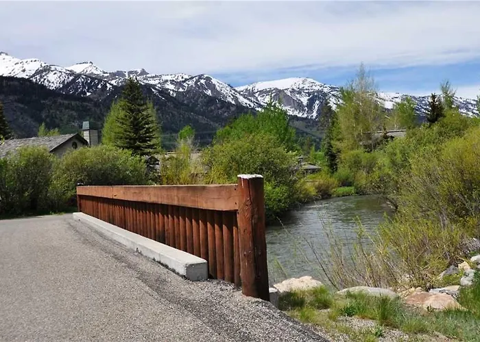 Rmr: Rainbow Trout 4611 In The Aspens *